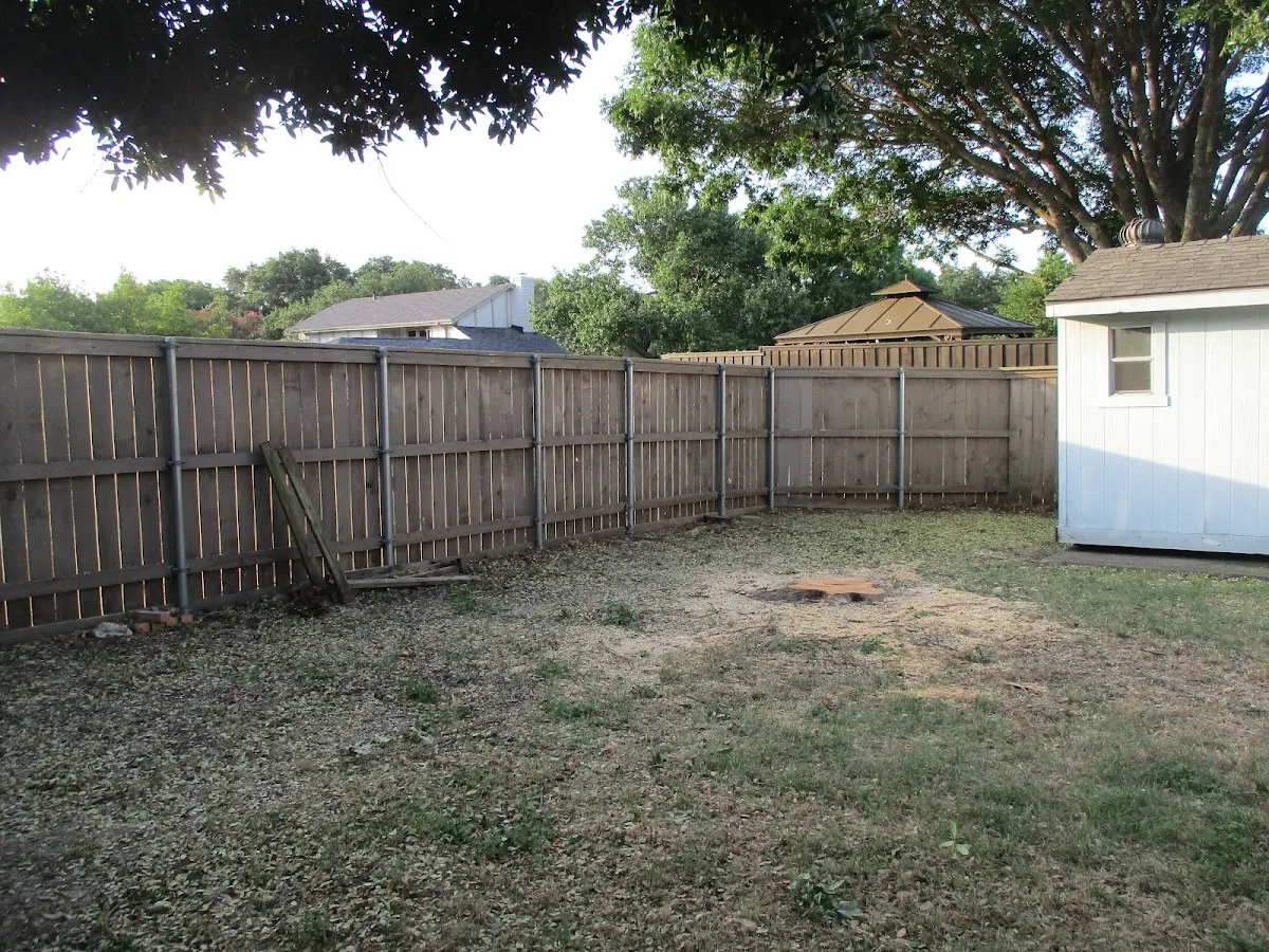 Cleared yard after professional tree removal in Leeds