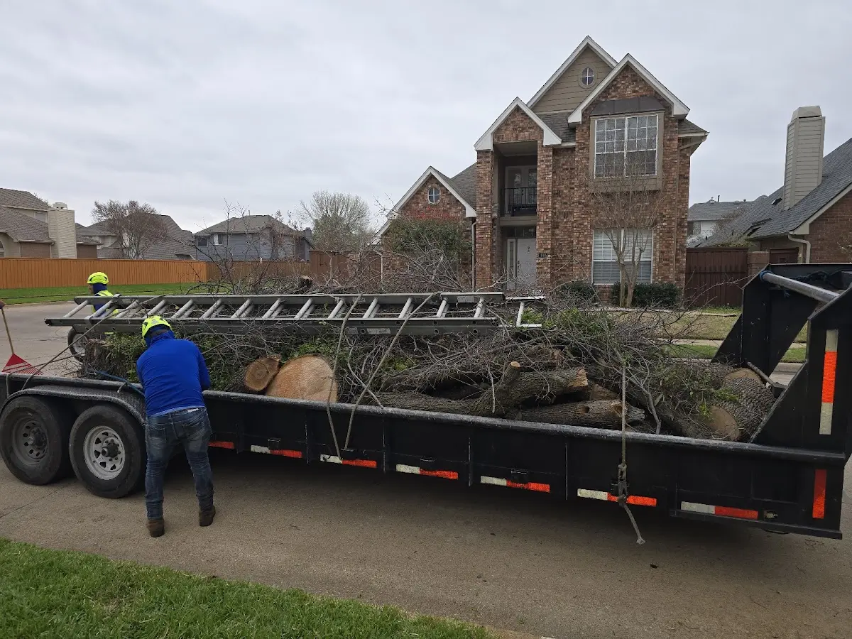 Expert Tree Removal with proper safety equipment in Leeds